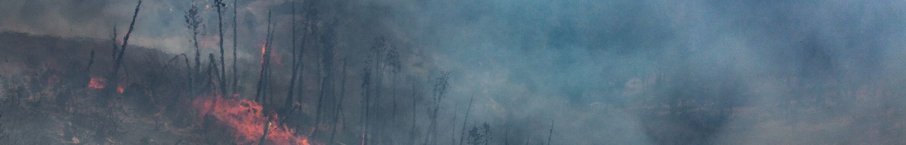 Active fire in Santa Barbara region